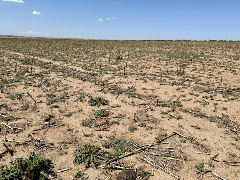 0 Bedroom Property for Sale in Tweeling Free State